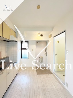 	メゾンエコー 501 【大阪府平野駅】 の画像3