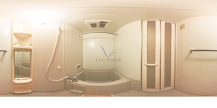 ヴィアーレ  203 【兵庫県山陽本線　明石駅】 の画像3