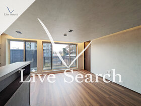 ラルゴ盆栽 301 【埼玉県土呂駅】 の画像3