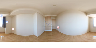 阿波座ライズタワーズフラッグ46 3005 【大阪府阿波座駅】 の画像3