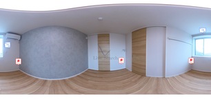 ヒナティアレ 203 【埼玉県日進駅】 の画像3