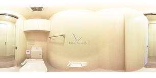 ルミエール 303 【埼玉県川越線　西大宮駅　徒歩7分】 の画像3