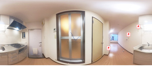 ヒルスミズキ 102 【神奈川県日吉駅】 の画像3