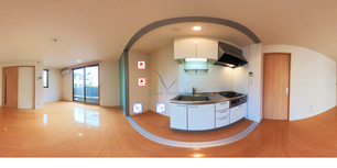 4505260　カーネル 103 【滋賀県中ノ庄】 の画像3