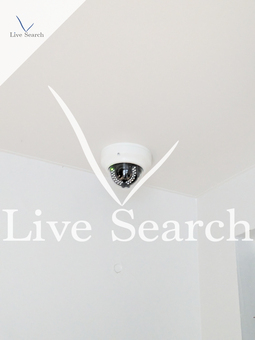 グラウンデュークス西大島 101 【東京都西大島】 の画像3