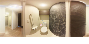 ベンガレンシス 101 【熊本県竜田口駅】 の画像3