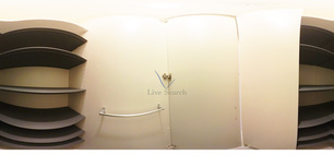 ルピナスⅠ 303 【埼玉県八潮駅】 の画像3