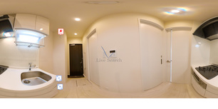 calmo male 101 【千葉県新浦安】 の画像3