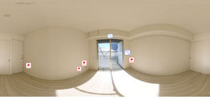 ヒラソルムラキ 206 【神奈川県南武線矢向駅】 の画像3