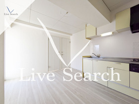 ヒラソルムラキ 206 【神奈川県南武線矢向駅】 の画像3