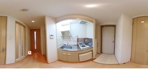 Delfino 2C 【神奈川県JR川崎駅】 の画像3