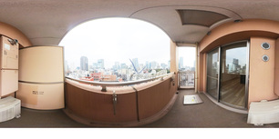 ザ・レジデンス赤坂檜町 1203 【東京都赤坂】 の画像3