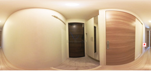 Gypsophila  202 【東京都西府駅】 の画像3