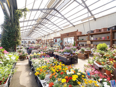 南の島 その他 Nj