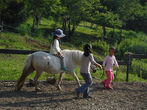 小学校低学年からポニーの上で乗馬体験できる