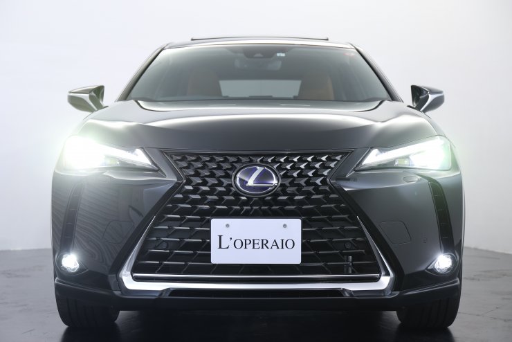 レクサス UX UX250h versionL 2019年モデル ワンオーナー ムーン