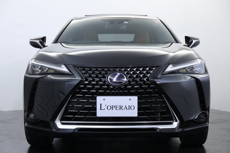レクサス UX UX250h versionL 2019年モデル ワンオーナー ムーン
