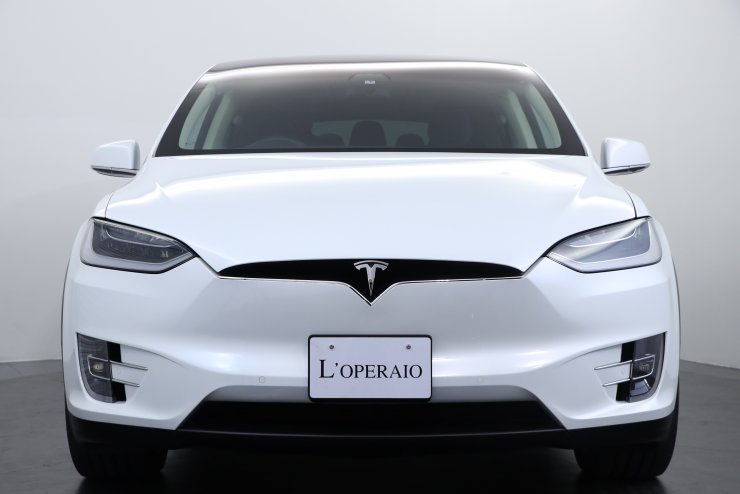 テスラバイオピーラー大人用 テスラ モデルX 100D 7シートインテリア エンハンスオートパイロット