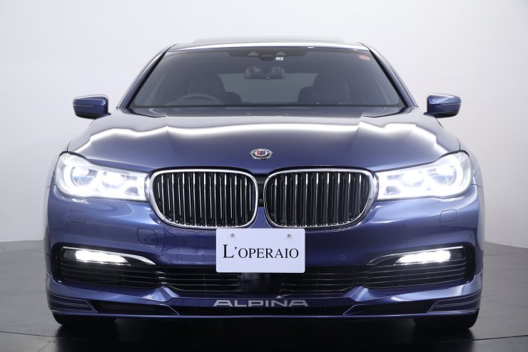 【新品、未使用】　アルピナ　ALPINA jrベスト　脊椎保護 新品、未使用】 アルピナ ALPINA jrベスト 脊椎保護 新品、未