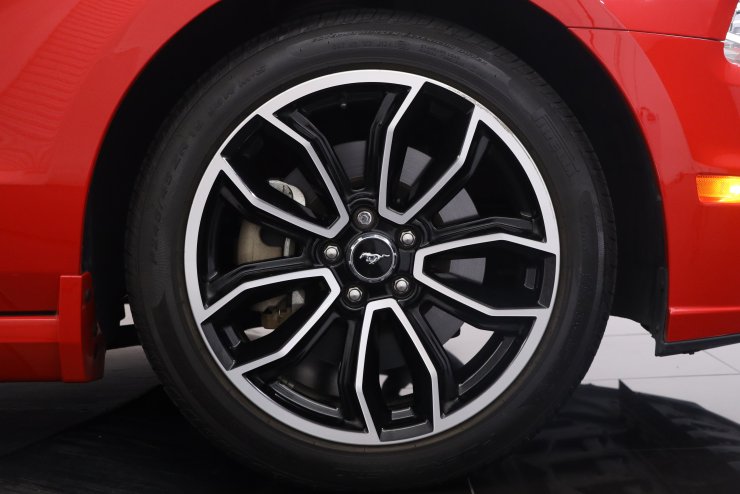 フォード マスタング V8 GT Appearance Package 限定20台 特別仕様車