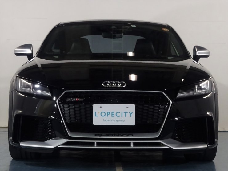 アウディ TT RSクーペ アシスタンスPKG マットアルミニウム