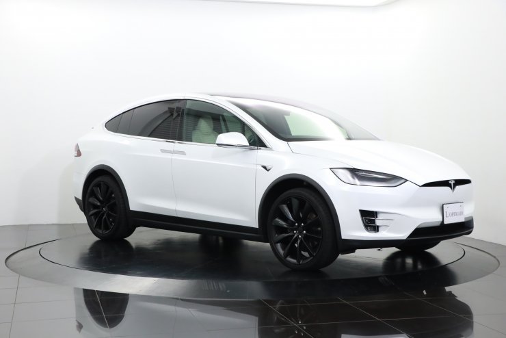 テスラバイオ　ヒーラー　大人用 テスラ モデルX ロングレンジ ワンオーナー 純正22インチオニキス