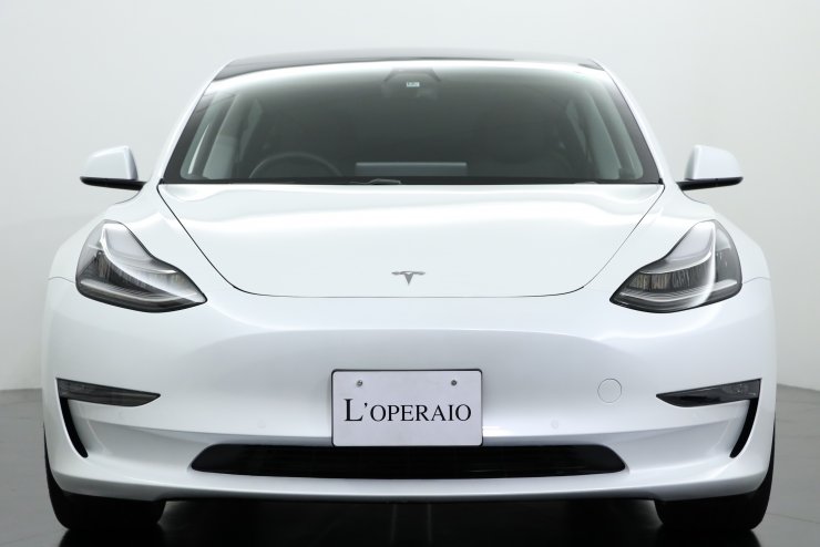 テスラ モデル3 ロングレンジ AWD フルセルフドライビング 純正19