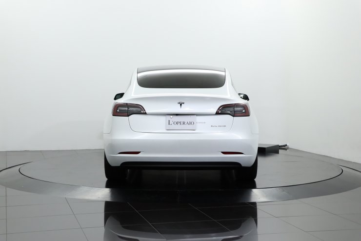 テスラ モデル3 ロングレンジ AWD フルセルフドライビング 純正19