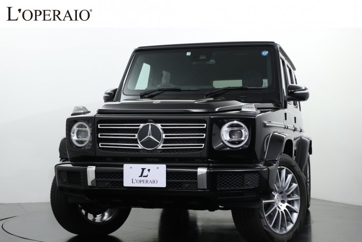 メルセデスベンツG350d 2021年式　純正車載ネット収納 黒 メルセデスベンツ Gクラスロング G350d AMG-Line ラグジュアリー
