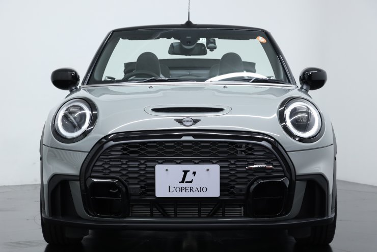 ジョン・クーパーミニ1300S用シフトヘッド&アンテナヘッド ジョン・クーパーミニ1300S用シフトヘッド&アンテナヘッド ジョン