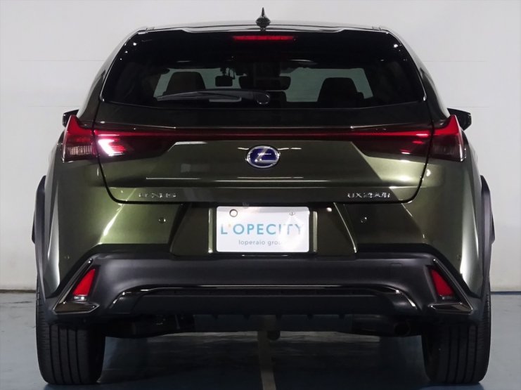 レクサス UX UX250h F Sports マークレビンソン ムーンルーフ ヘッド