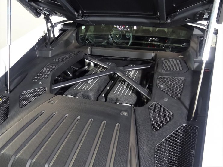 ランボルギーニ ウラカン LP580-2 正規ディーラー車 カーボン