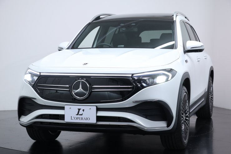 U1058【美品】メルセデスベンツ/MercedesBenz*メッシュレザー*A4対応*ショルダー付き*トートバッグ*ショルダーバッグ*コーラル系 メルセデスベンツ EQBクラス EQB350 4マチック乗り出し総額895万円