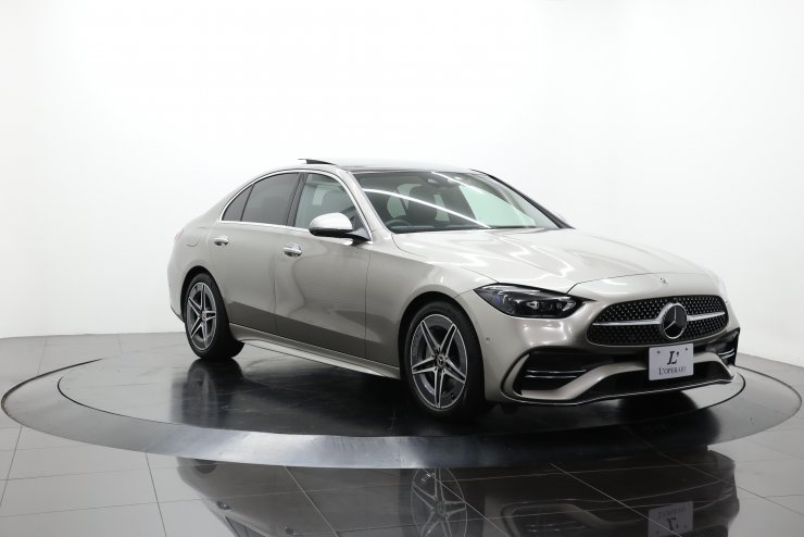 Mercedes-Benz V124 Lang シルバー Mercedes-Benz V124 Lang シルバー