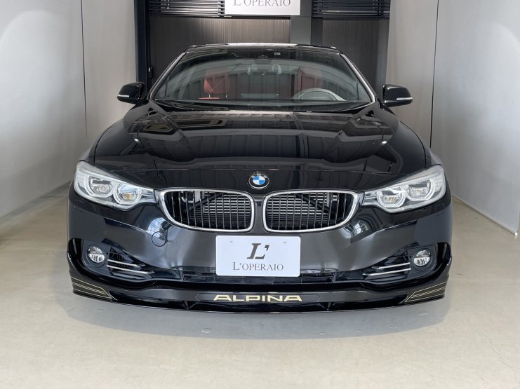 ALPINA アルピナデコラインデコセットシルバー②