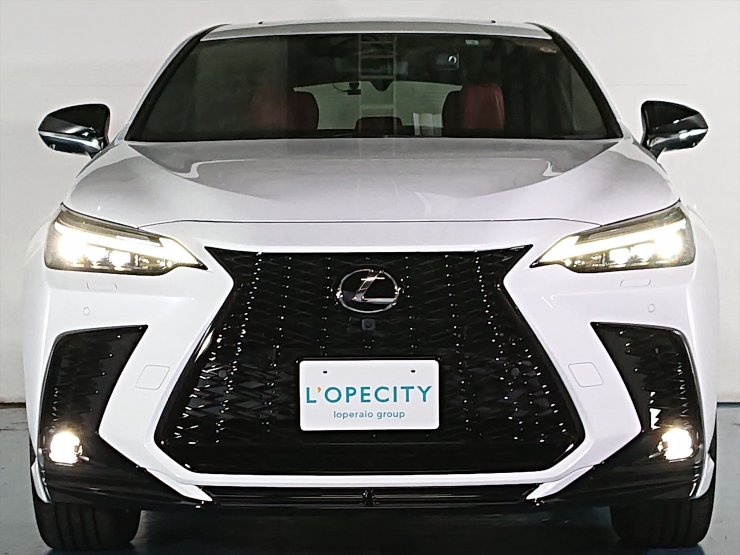 レクサス NX NX450h FスポーツAWD TRDエアロ TRD20インチAW