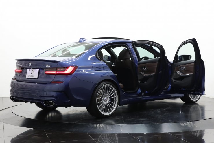 【新品、未使用】　アルピナ　ALPINA jrベスト　脊椎保護 アルピナ、伝説の創業者へ捧げる限定99台「B8 GT」を発売