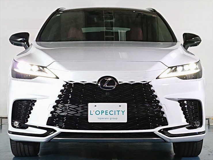美品 レクサス RX500h Fスポーツ 純正 21インチパウダーコート済み 希少 美品】LEXUS RX500h Fスポーツ パフォーマンス 純正OP 21in