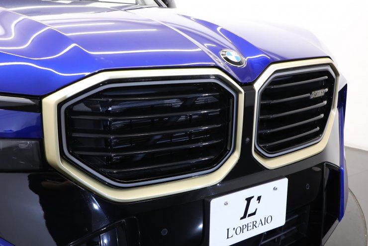 xmw∗∗∗∗∗∗∗∗ページ 楽天市場】YKKAP汎用網戸 上げ下げロール網戸XMW アルミ色：[幅198