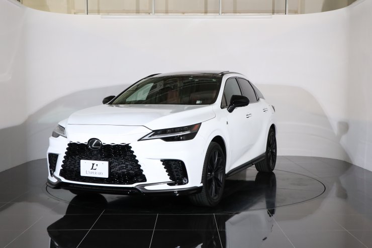 Lexus RX 500h ブラック純正標準エアロ納車前取り外し品 Lexus RX 500h ブラック純正標準エアロ納車前取り外し品 Lexus RX 500h