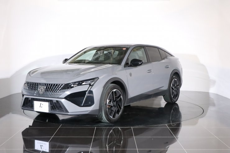 【激レア】プジョー　メトロ 激レア】プジョー メトロ