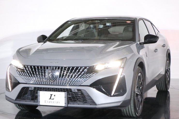 芙蓉ページ 芙蓉箸【春名芙蓉ブランド】