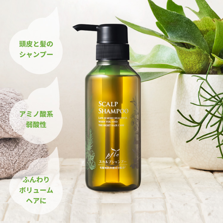 プフレスカルプセット