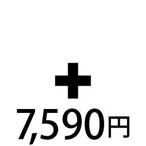 ウィッグと一緒に安心セット