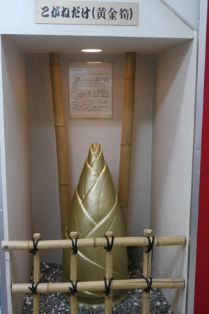 パルム商店街の黄金のタケノコ パルム商店街の黄金のタケノコ