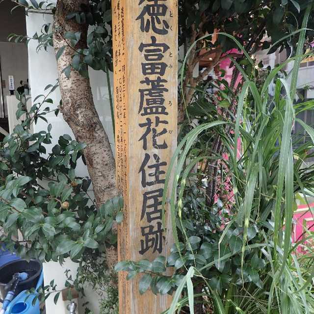 蘆の花は見所とてもなく まちクエスト