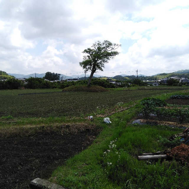 小墾田宮推定地 まちクエスト
