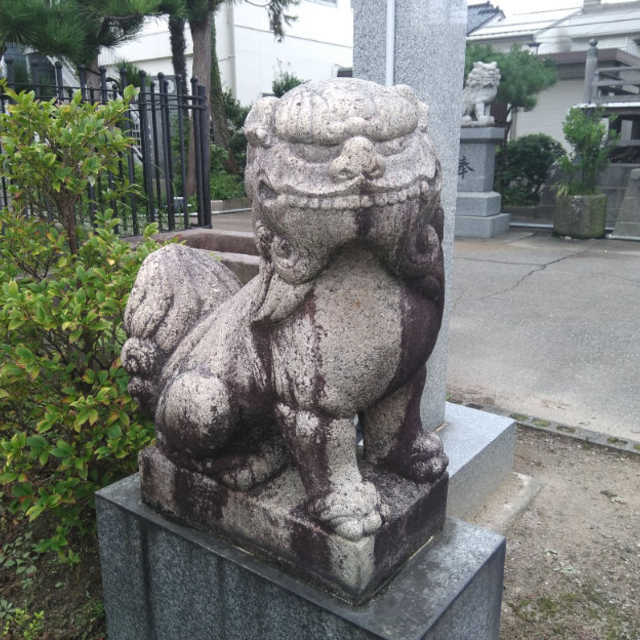 ニタァ まちクエスト