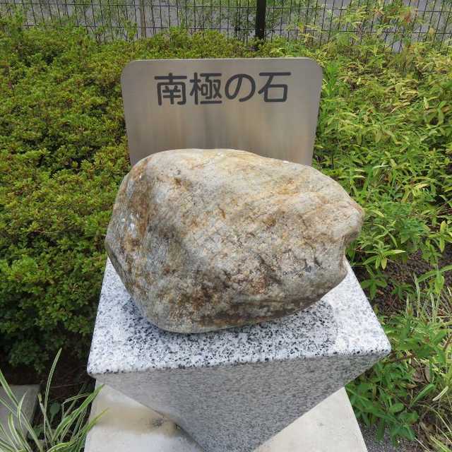 南極の石 南極の石 - まちクエスト