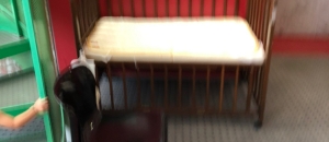 楽市楽座210久留米店のオムツ替え台情報